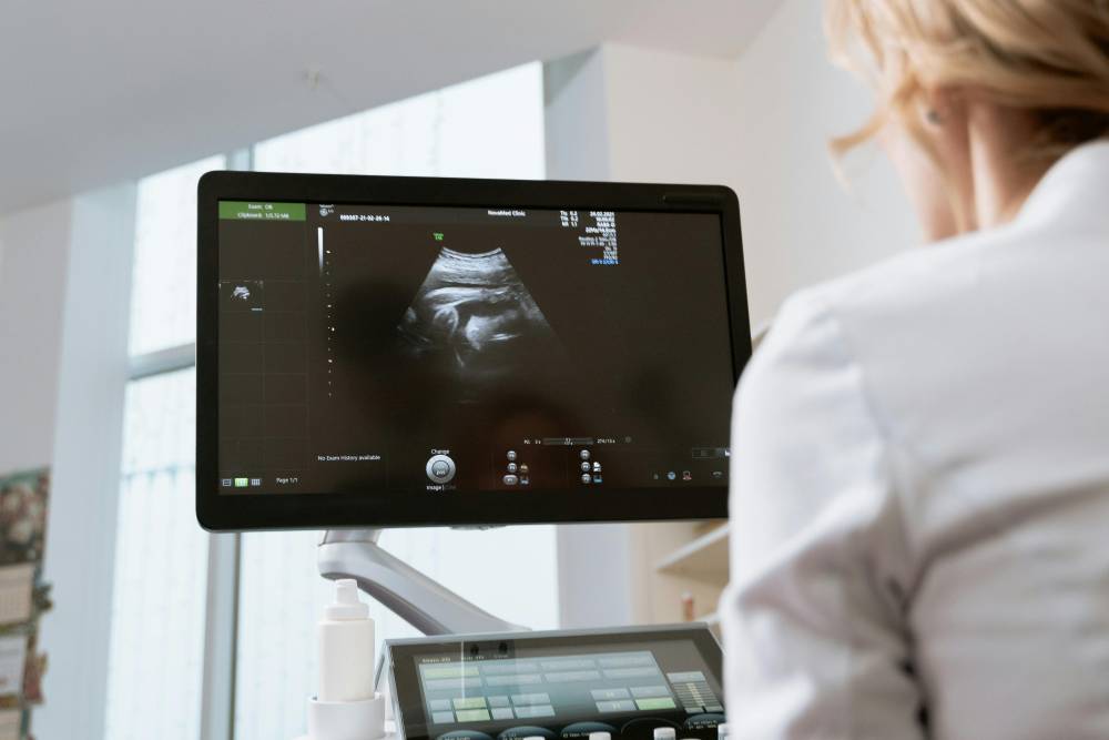 Echographie près de Ispoure
