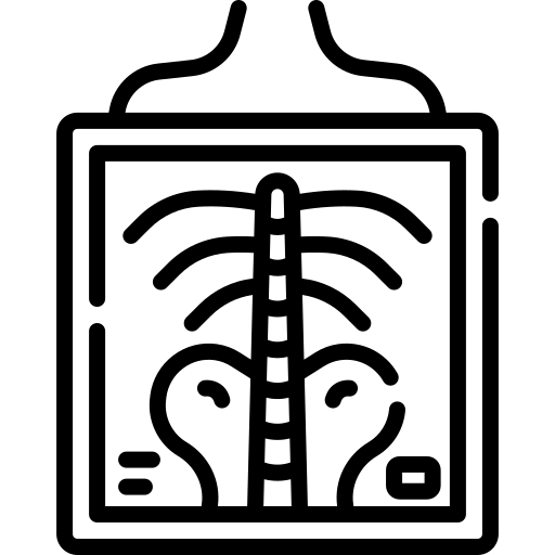 Radiologie